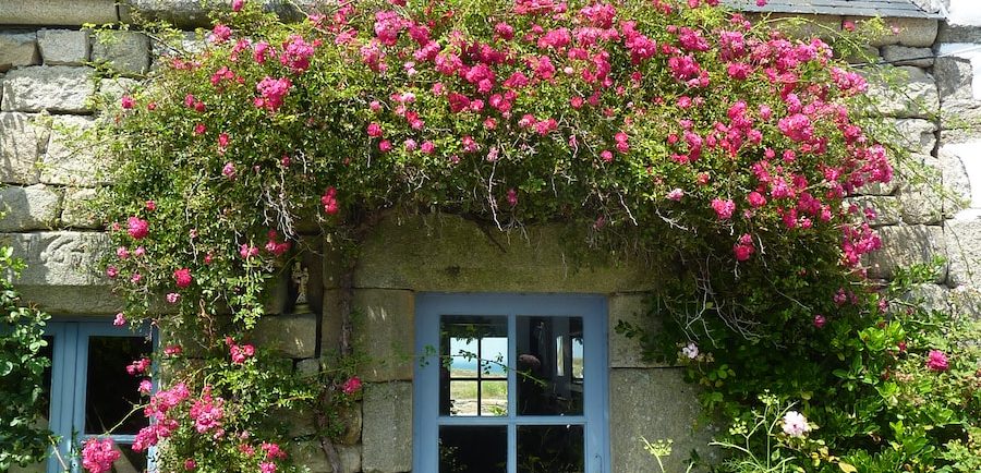 closed blue half-lite door