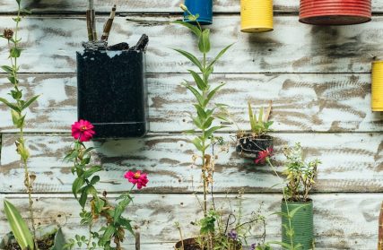 green leafed plant in can hanging on wall