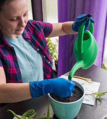 a woman is watering a potted plant with a green watering hose